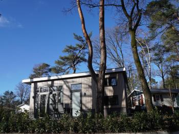 Forest-View Tiny House, Hoenderloo (photo 4)