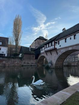Beishan Appartements Nürnberg, Núremberg (foto 3)