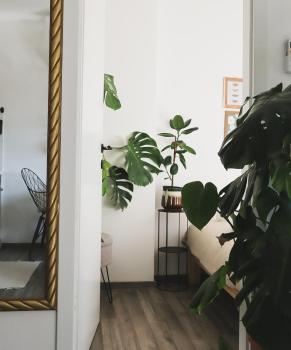 Urban Jungle Apartment 1 - Free Parking, Liubliana (foto 3)