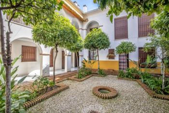 El rincón de la Chiquita & Parking, Córdoba (fotografie 5)