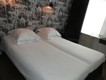 Hotel Queen Anne, Брюссель (фото 3)