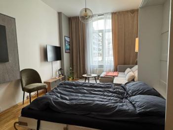 Studio apartment, Oslo (photo 2)