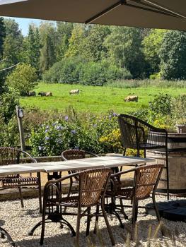 B & B De Romeinse Katzei, Borgloon (foto 3)