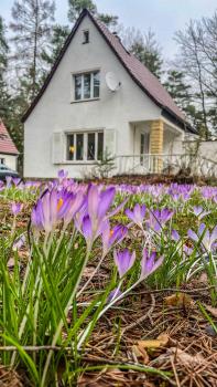 Ferienhaus am weißen Adler, Drezno (zdjęcie 5)
