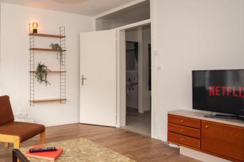 Spacious apartment next to Rhine, Bazylea (zdjęcie 2)