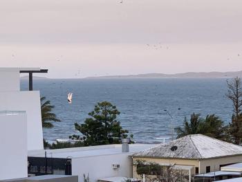 Keppel 180, Yeppoon (Foto 3)