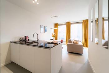 Wonderful 1BR apartment in Antwerp, Amberes (foto 2)
