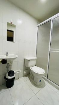 Aparta-estudio amoblado en Medellin, Campo Valdes, Medellín (fotografie 2)