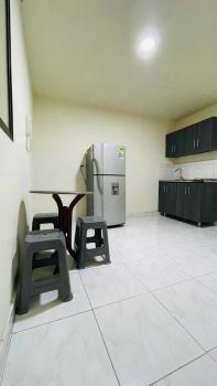 Aparta-estudio amoblado en Medellin, Campo Valdes, Medellín (fotografie 5)