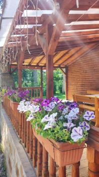 Къща за гости ЕКО, Tsigov Chark (photo 5)