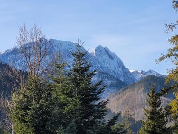 Pokoje Gościnne Tęcza, Zakopane (photo 2)