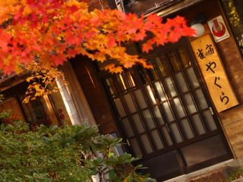 雀の宿 やぐら, Macumoto (fotografie 5)