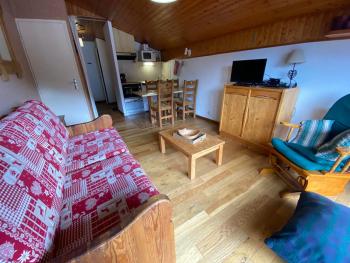 Studio à Châtel, Multi Pass offert, proches commodités - FR-1-693-76, Châtel (zdjęcie 3)