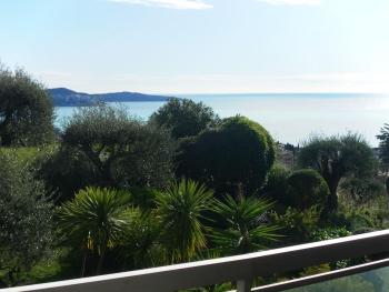 Nice Appartement Vue er Grande Terrasse Piscine Bail Mobilité, Nizza (foto 2)