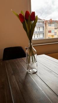 Apartment 24 im Lehenviertel, Stoccarda (foto 2)