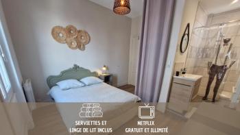 Promenades / 1 Chambre / Neuf, Roanne (photo 2)