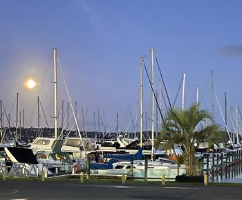 MarinaView room with private bathroom, Auckland (fotografie 2)
