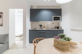 Modern and cozy-1Bedroom 1Bathroom-Azca, Madrid (photo 5)