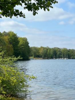 Cottage & Garden & Sauna am See, Wettringen (Foto 4)