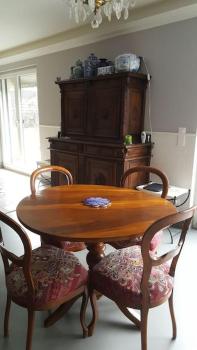 Appartement pour un couple, jardin, Ginebra (foto 3)