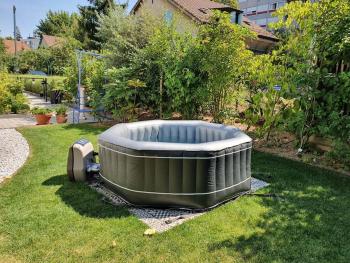 Appartement pour un couple, jardin, Ginebra (foto 5)