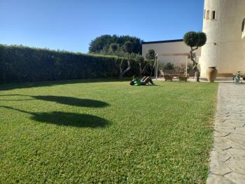 Villa Eagle, Terrasini (photo 3)
