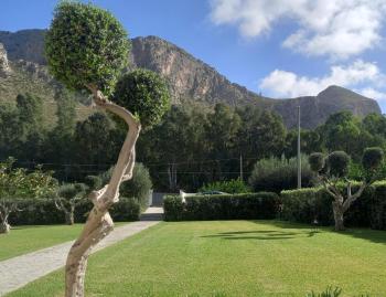 Villa Eagle, Terrasini (photo 5)