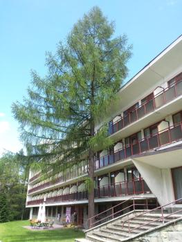 Geovita Zakopane, Zakopane (photo 5)