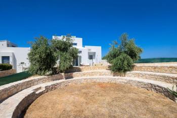 Olive Apt - Akrotiri, Kounoupidiana (zdjęcie 4)