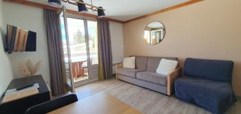 Super studio - Piscine - Parking couvert - Pied des pistes, L'Alpe-d'Huez (photo 3)