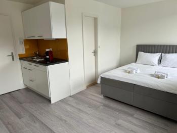 Urban Oasis with Queen Bed and View BE-54, Zúrich (foto 2)