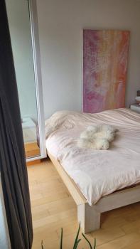 Room in Marzili, Berne (photo 3)