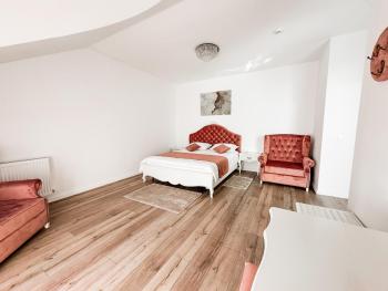 Complex Vila Rania, Satu Mare (foto 3)