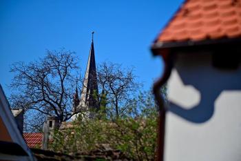 FLH - Casa Doris, Сибиу (фото 4)