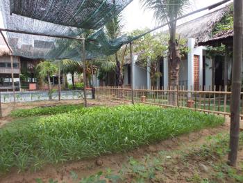 Home Farm Villa Hoi An, Hoi An (photo 5)