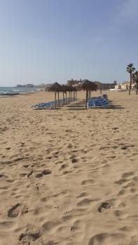 Apartment in La Mata Beach, La Mata (fotografie 5)