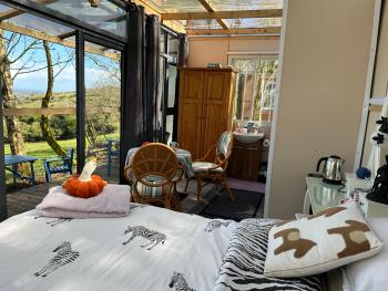 Sky gazer cabin in the woods, Dublin (fotografie 5)