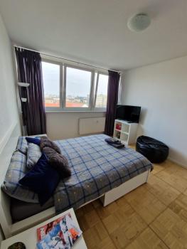 Zentrale und Komfortable Wohnung, Leipzig (foto 4)