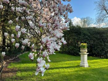 Boutique Hotel Rosengarten Hamburg, Hamburgo (foto 3)