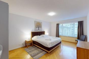 Bright 1 bedroom flat in the city centre (Greenyard 2), Zürich (photo 3)