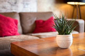Special Retreat Apartment & Home-Office & Workplace, Basilea (foto 4)