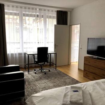 Nice 1BR flat - city center with balcony - West3, Zúrich (foto 2)