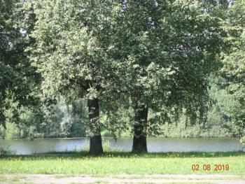 Room for rent, Rīga (photo 4)