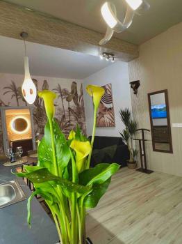 Casa Maravillosa, Валенсия (фото 4)