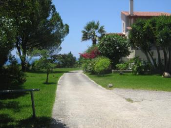 JAKARANDA, Argostoli (fotografie 2)