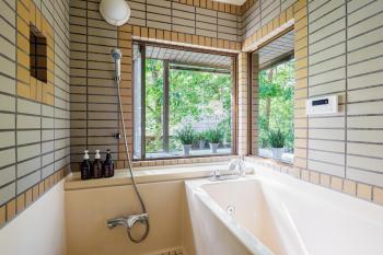 レイドバックシャレー, Hakuba (fotografie 4)