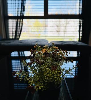 Brand New Apartment, Top Location-Near VIC/Danube, Vídeň (fotografie 5)