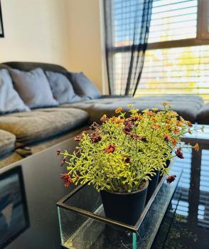 Brand New Apartment, Top Location-Near VIC/Danube, Vídeň (fotografie 4)
