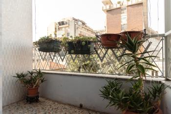 Casa Dalì Via Venezian 14, Milan (photo 4)