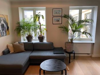 Strøken loftleilighet midt i Oslo., Осло (фото 3)